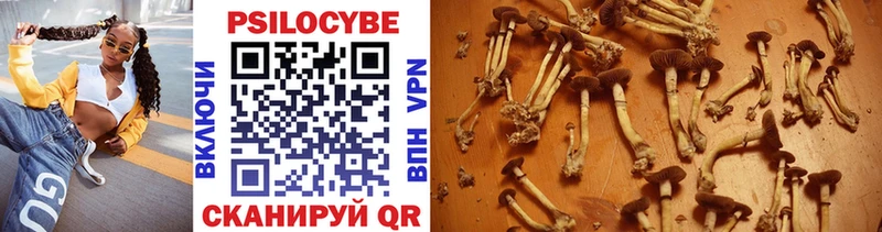 Галлюциногенные грибы MAGIC MUSHROOMS Якутск