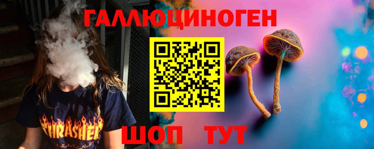 Галлюциногенные грибы Psilocybe  Вход с VPN  Якутск 